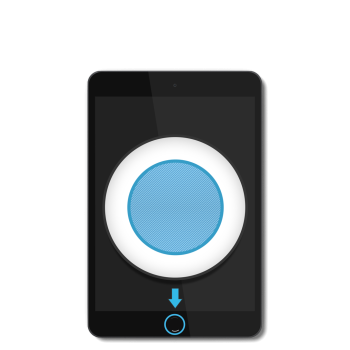 iPad Mini - Homebutton