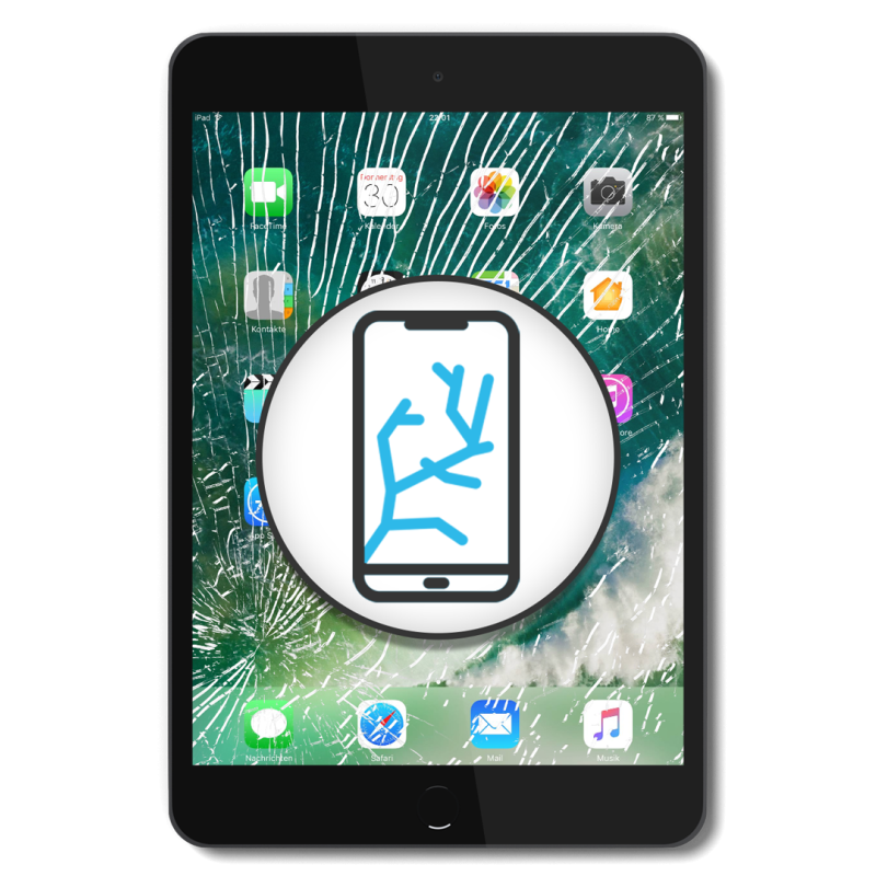 iPad 9 (2021) 10.2 LCD A2602 A2604 A2603 A2605 - Akku wechsel
