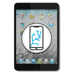 iPad 3 - Touchscreen ws