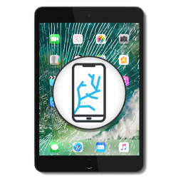 iPad 10 (2022) 10.9 A2696 A2757 A2777 A3162 - Display Glas Reparatur