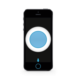 iPhone 5S - Homebutton Reparatur (Keine Touch ID)
