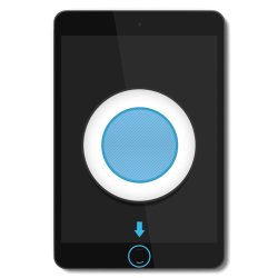 iPad 2 - Homebutton Reparatur