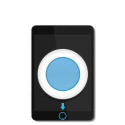 iPad Mini - Homebutton