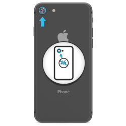 iPhone 8 Plus - Kameraglas